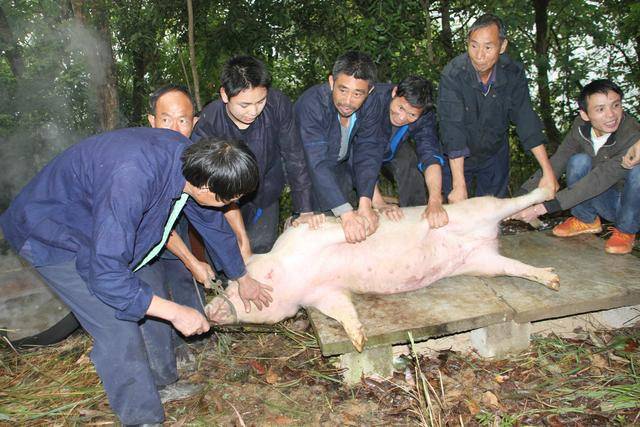 云南长底坡脚村：传承弘扬布依文化有“绝招”