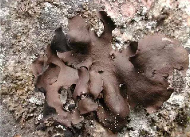 安庆两个县城撤县设市，已经开始行动了！