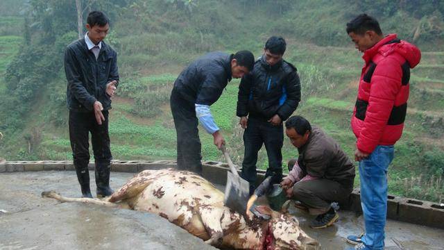 云南长底坡脚村:传承弘扬布依文化有“绝招”