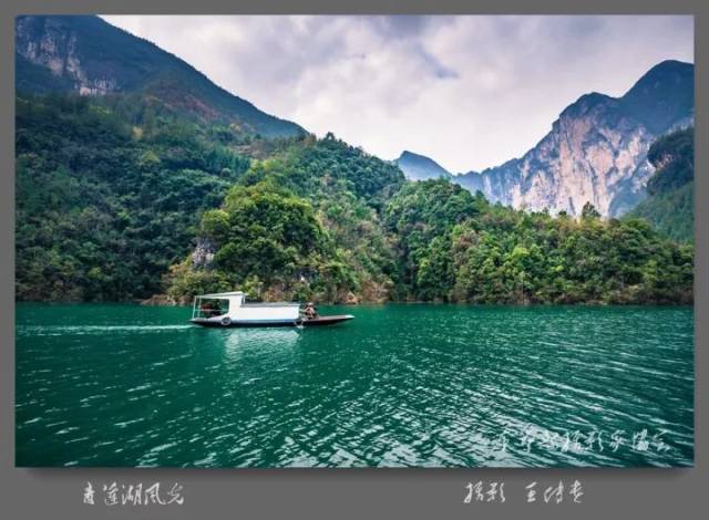 青莲湖刚刚揭开神秘的面纱,她的美丽必将为青莲镇迎来新的发展机遇!