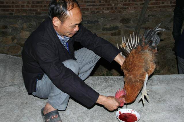 云南长底坡脚村：传承弘扬布依文化有“绝招”