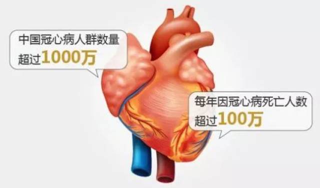 什么原因导致心脉受损 14dafa58da1e463cbfdbdfd1a9271c6e.jpeg