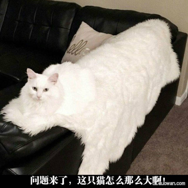 【吐槽囧图】美女漫画家用自己身材为蓝本作画