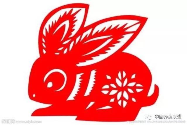 初次养兔需要掌握的知识!新手养殖兔子要注意什么
