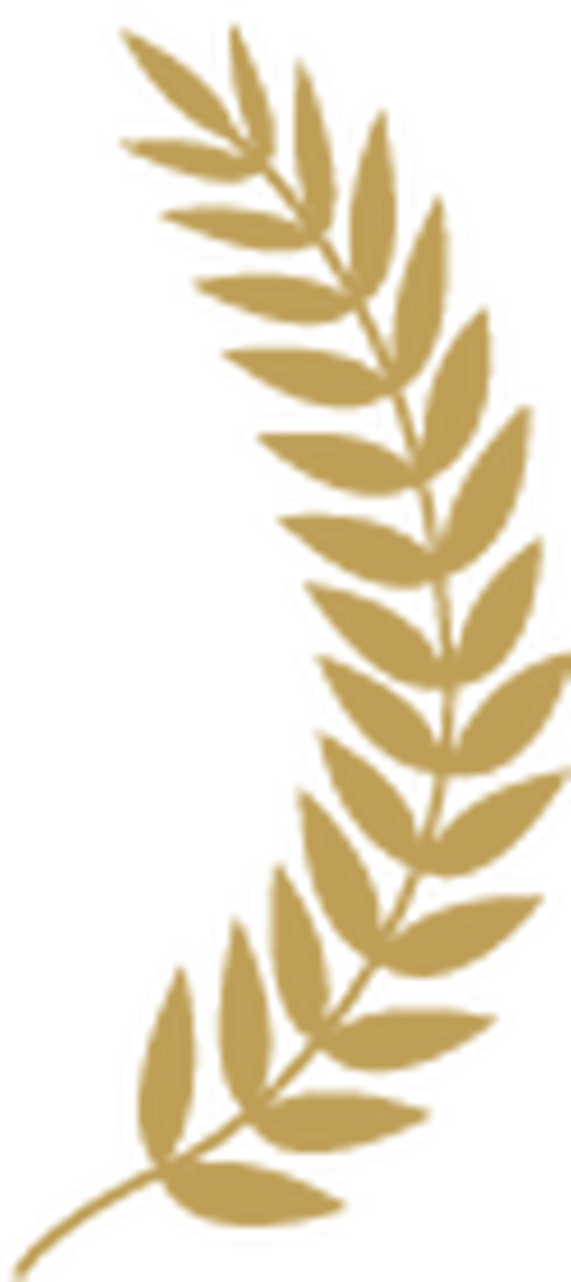 2017年度十大流行语公布！河南人常说的一个字上榜！同时发布十大