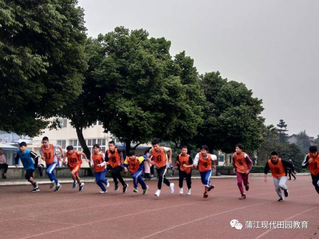 寿安中学 二等奖 成雅小学实验小学成佳学校 实验中学大塘学校西来