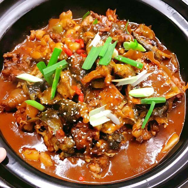舌尖上的美食朋友来武汉旅游如何招待我带她去吃甲鱼焖公鸡