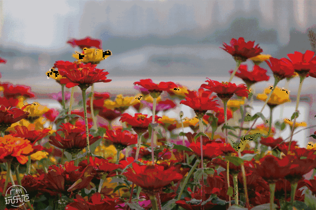 广州又爆出新晋网红拍照圣地,与小蛮腰相对,夜景超美!