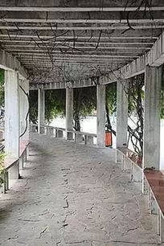风雨连廊，我能告诉你的就这些