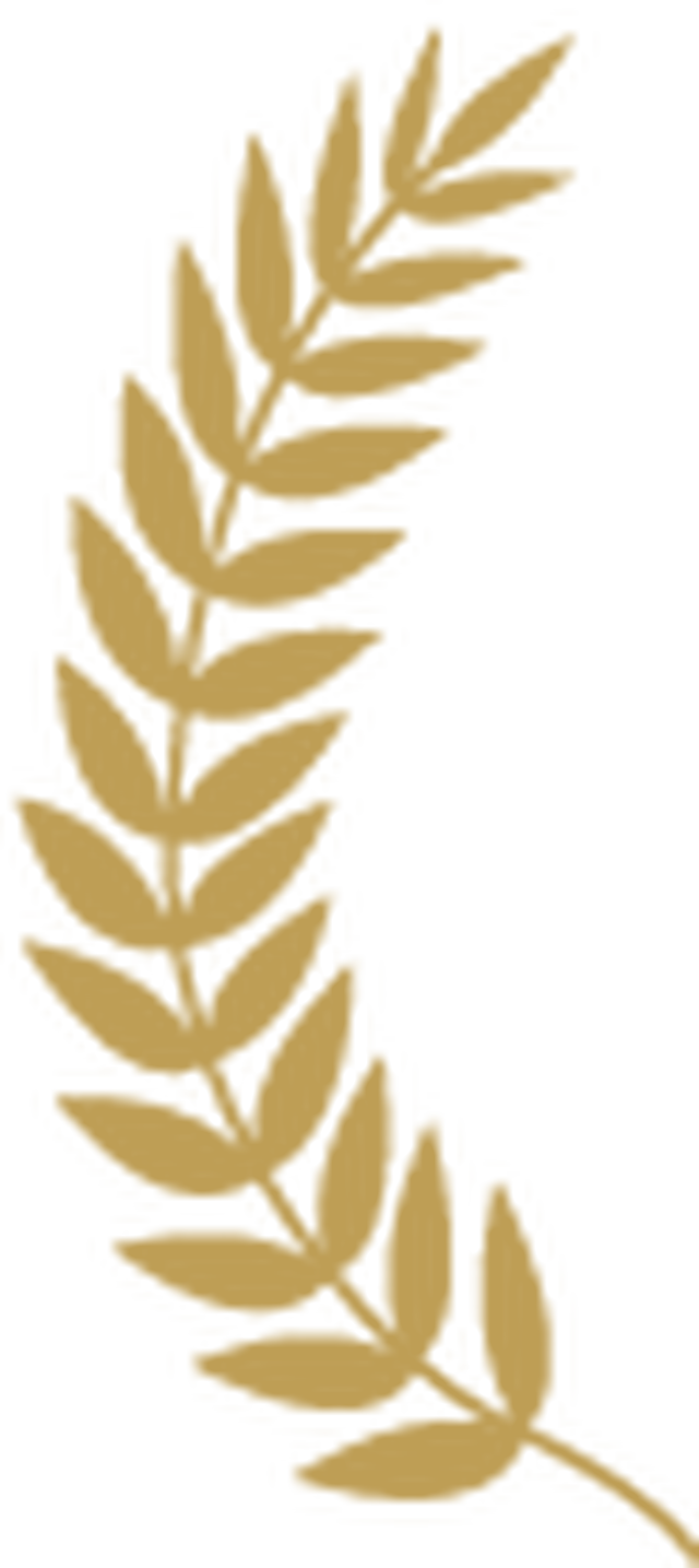 2017年度十大流行语公布！河南人常说的一个字上榜！同时发布十大