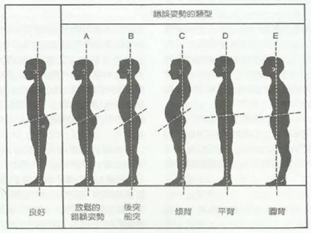 颈椎前凸,胸椎后凸,腰椎前凸,骶椎后凸.