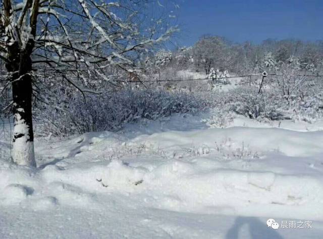 2,红林沐雪(乡思)