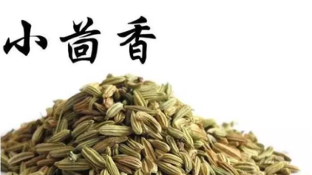 小茴香泡酒有什么好处