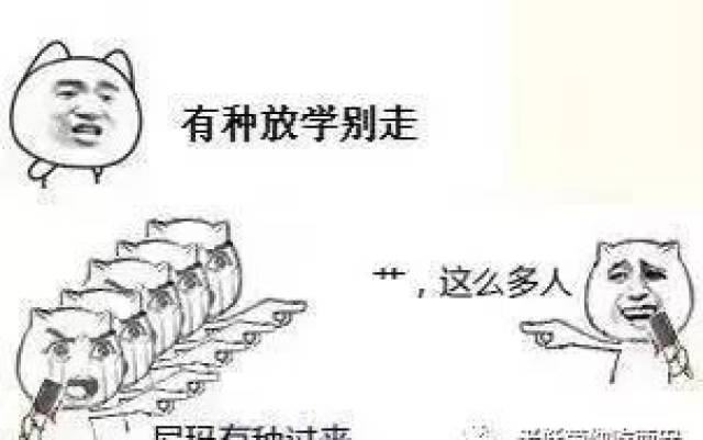 0edf696dbd4f4cdd9386bb6574afc64e.jpeg