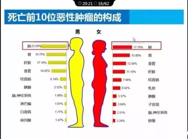 中国肺癌男性发病率中居首位,女性发病率中居第二位.