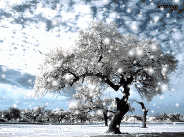 400_297