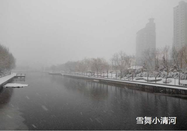 这叫下雪!白色的调味料液是什么图片