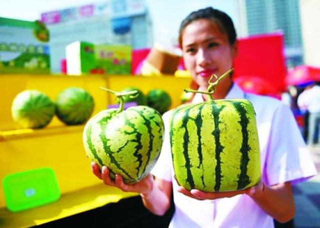 西瓜是不是蔬菜类 a2a6a1c8f5d14d5e8ab86faab2ba65ca.jpeg