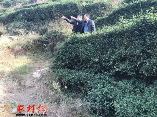 平利县长安镇双杨村市级劳模屈孝余矢志扶贫侧记
