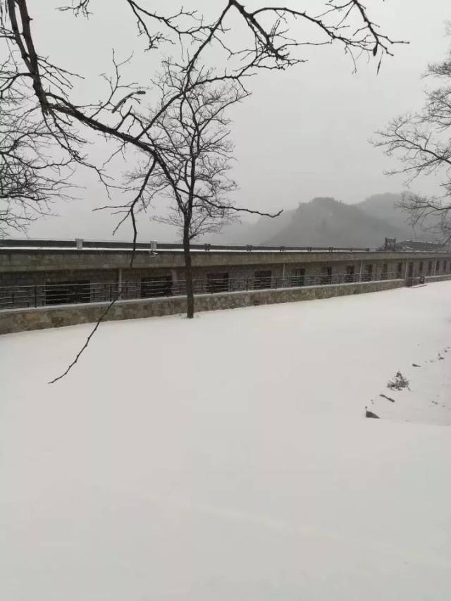 c890480a237f419b95d3fbe432d37d86.jpeg