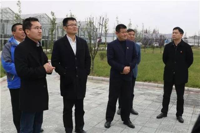 周卫兵调研虹星桥,强调全力冲刺收好官,精心谋划布好局!
