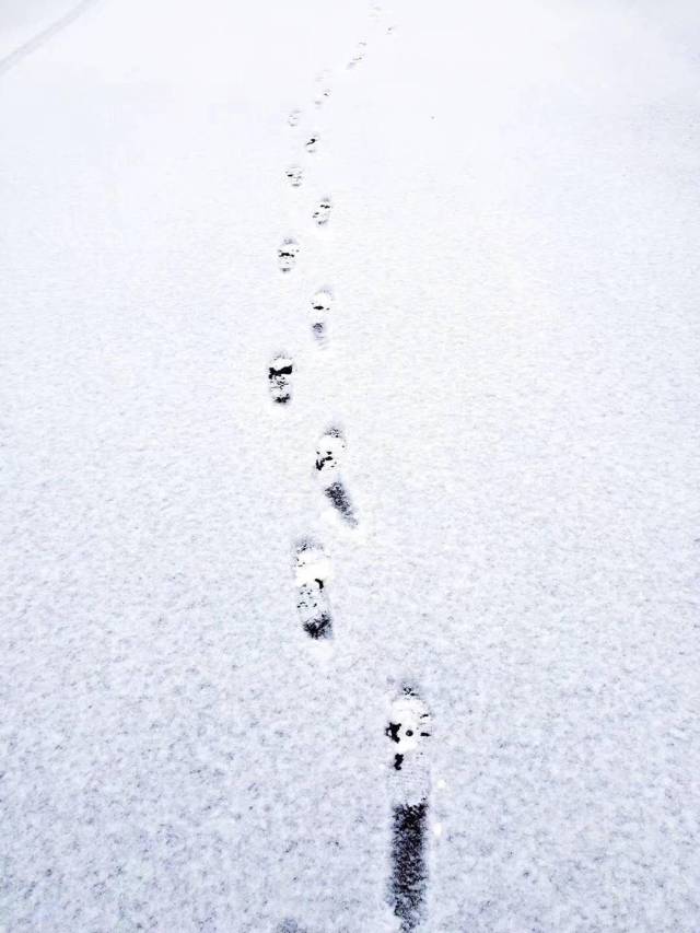 走在路上,咯吱咯吱响,声音真好听.久违的大雪,久违的脚印.