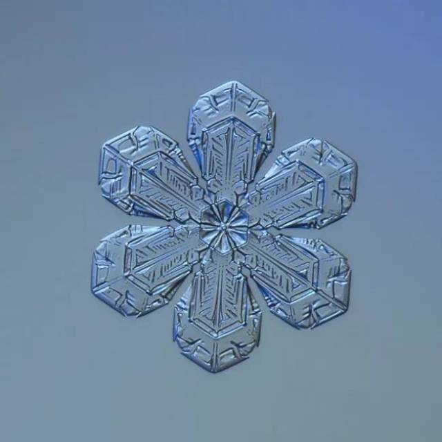 每片雪花都是限量版 搜狐网