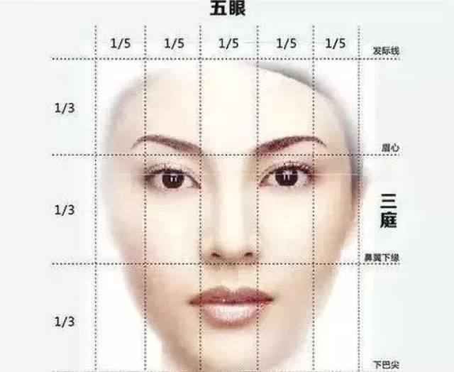 她们都是标准的瓜子脸,在三庭五眼的面部比例中,显得完美又有模仿