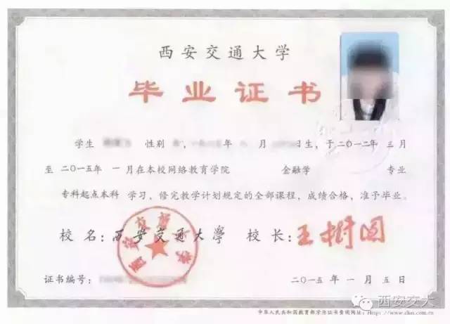 成人学历教育：探索未来的阶梯