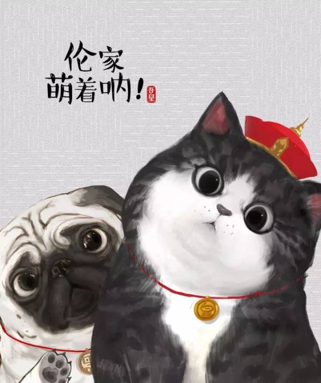 当大家还在期待和讨论张馨予的时候,没错,火遍宇宙的吾皇和巴扎黑来了