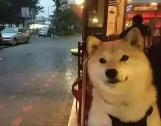 湿湿碎!50个老广常用的粤语3字词语,你懂多少