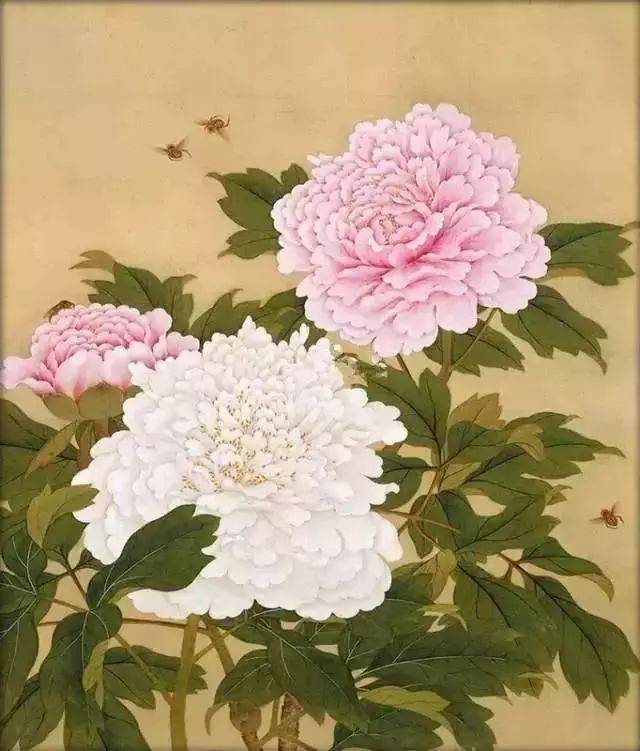 2,清 余稺 小品 清宫廷工笔花鸟画 牡丹 《花鸟图册》