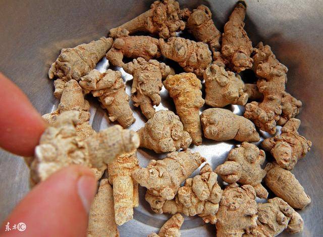 网红神药三七粉伤肝、伤胃,你还敢乱吃吗?