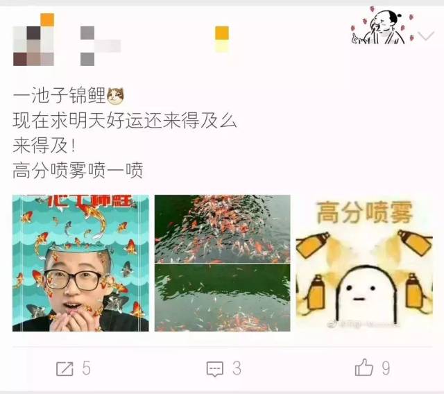 空间,朋友圈,微博里总是出现 这样的奇观 转发这条锦鲤考试必过