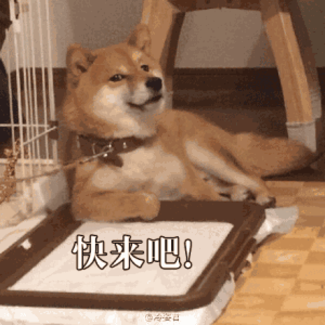 老司机你知道吗!