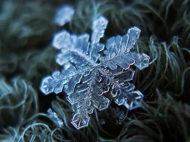 不可思议美的惊艳雪花微信头像