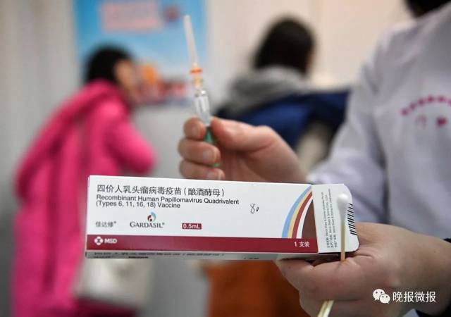 医生展示四价疫苗包装 记者 张宇明 摄
