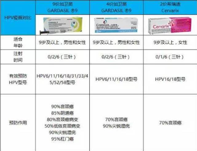 人乳头瘤病毒(hpv)与疫苗知多少