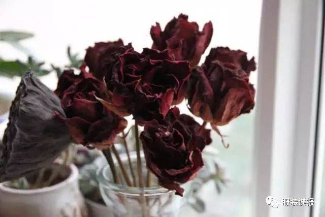 今年寒冬最最最温柔的颜色——干枯玫瑰色