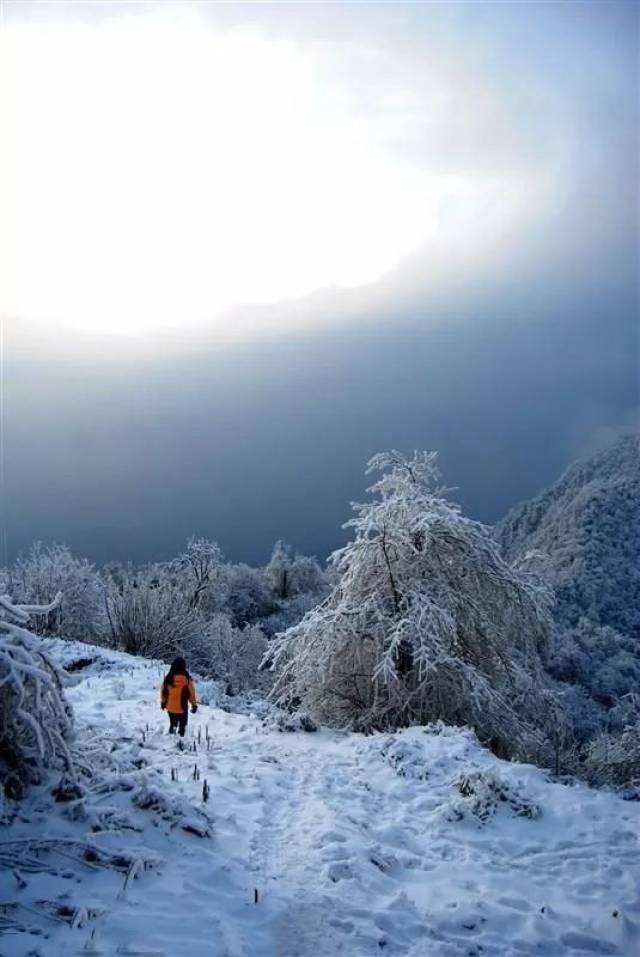 冬季登赵公山的最大亮点就是赏雪景了,一到冬季,这里就进入了一个