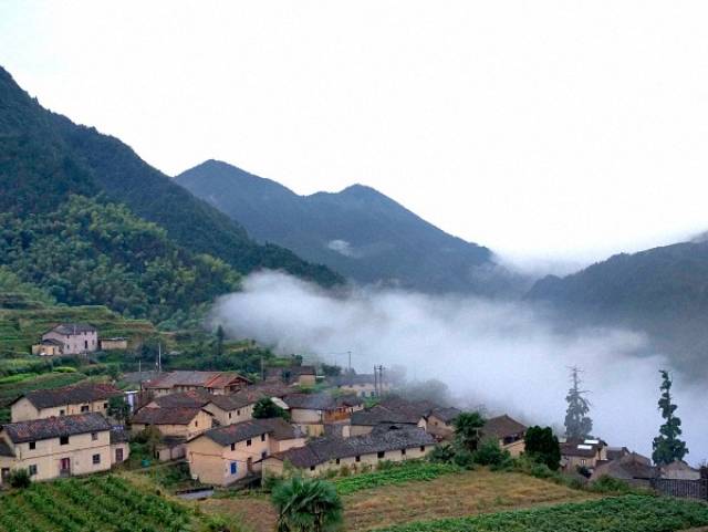 从松阳县城往北开,一路沿着盘山公路行驶15公里,就到了平田村.