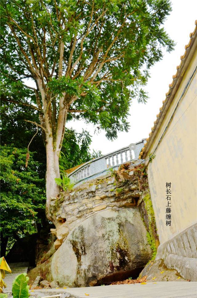 已有300年历史的揭西石灵寺,你也许听过但未必去过!