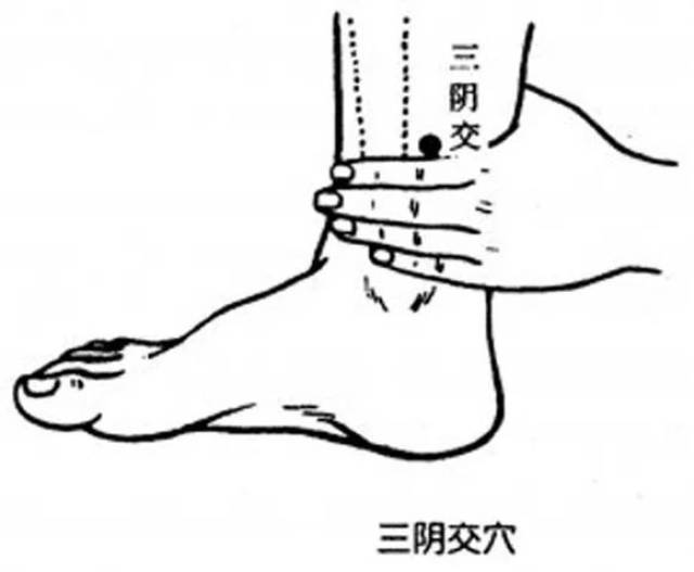 4,三阴交穴,养肝护肝的大穴