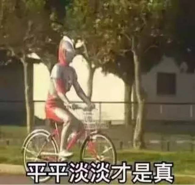 从来不撕逼,心中没有丝毫波澜,甚至想吃黄焖鸡米饭, 不悲不喜,安静如