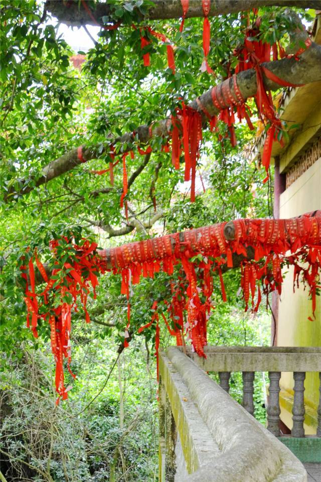 已有300年历史的揭西石灵寺,你也许听过但未必去过!_手机搜狐网