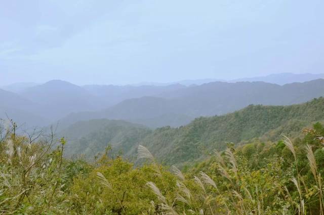 芷江明山实景