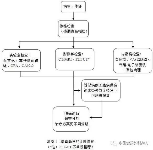 附录—诊疗流程图