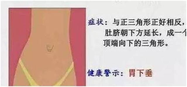 低头看看肚脐,如果出现这种特征,说明你的身体超健康!