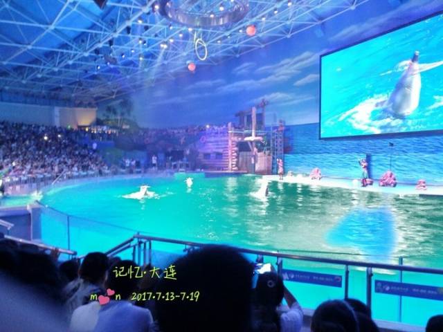 大连老虎滩海洋公园海洋极地馆