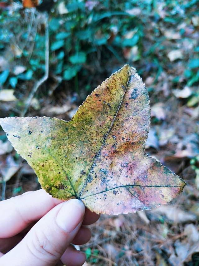 尖岩山的冬日时光